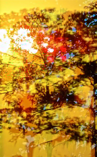 "Ernst Salzburger" © 2024 Heinz Lechner