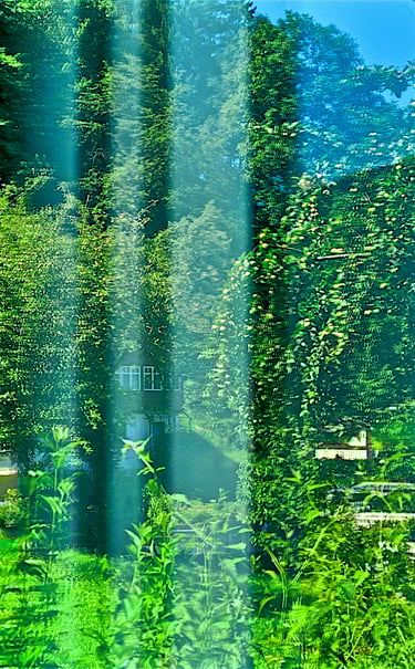 "Georg Danzer" © 1998 Heinz Lechner