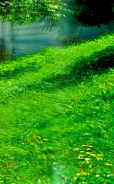 "James Brown" © 1998 Heinz Lechner