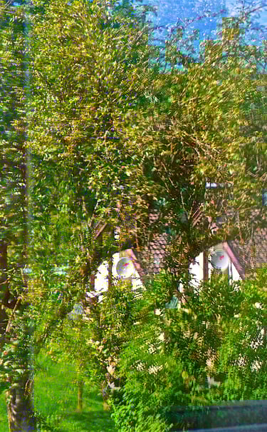 "Jimmy Page" © 2014 Heinz Lechner