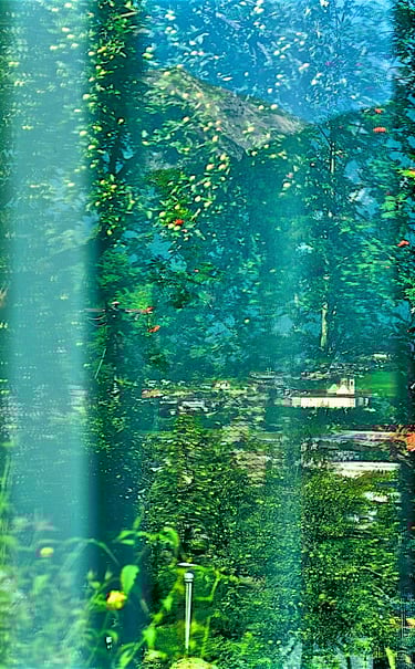 "Otis Redding" © 1998 Heinz Lechner