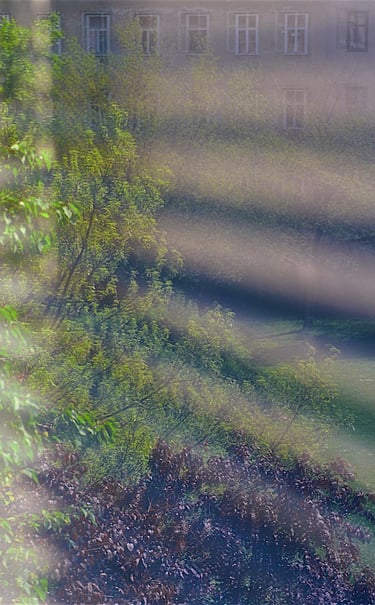 "Pete Townshend" © 1999 Heinz Lechner