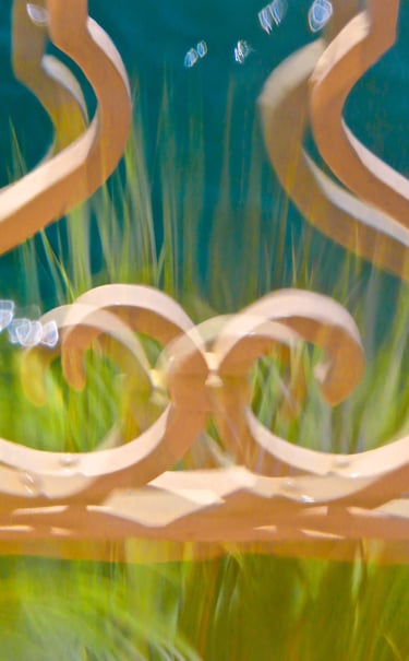 "Victor Wooten" © 2022 Heinz Lechner