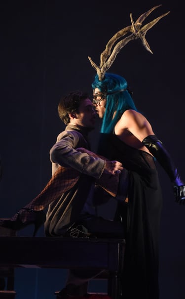 Candide, Arnaud Meunier