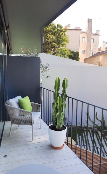 Modern balcony with a gray wicker chair, green pillow, and tall cactus plant in a white pot.