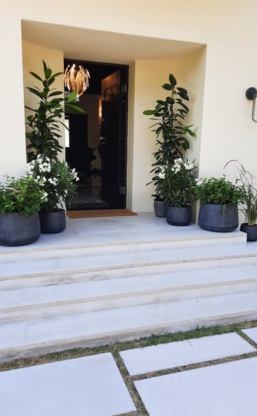 Modern home entrance featuring white stone steps and elegant potted plants with white flowers.