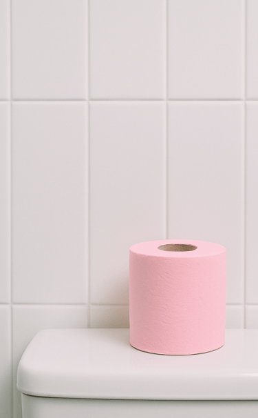 wall tiles bathroom with pink toilet paper roll