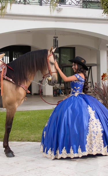 Mis Quince Servicio Princess