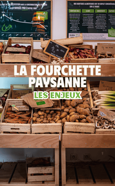 vidéaste cadreur monteur orléans