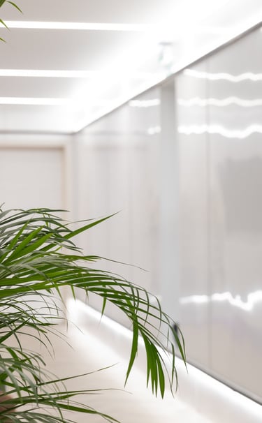 a plant in a business premises with a plant in the middle