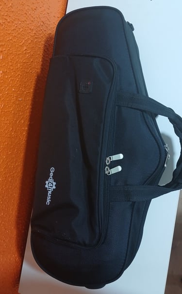 Étui saxophone alto