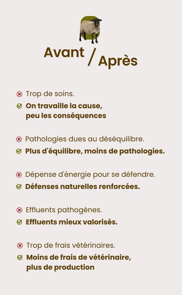 Solutions pour la santé des animaux et élevages en Aveyron Lot et Tanr