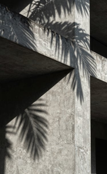 Architectural detail of a concrete facade in Olinda, geometric shadows cast by tropical sun, deep charcoal and light silver gray tones, technical and precise composition.