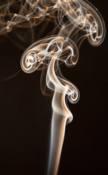 Macro photography of smoke curling through a dark space, illuminated by a sliver of burnished gold light. The smoke takes on a structural, lattice-like form, suggesting organic computation. Sophisticated and mysterious tone.