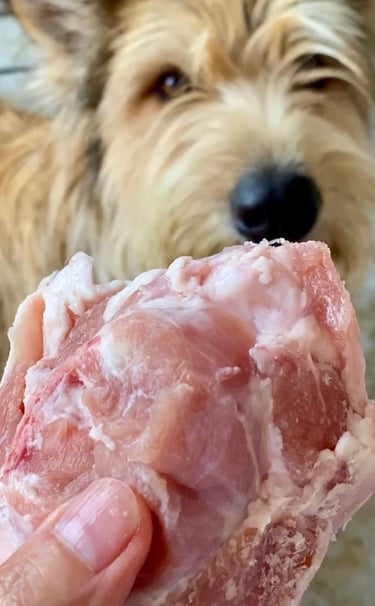chien qui mange de la viande crue
