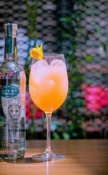 Coctel en copa hecho con Mezcal Tepextate Silvestre de Lu Mezcal