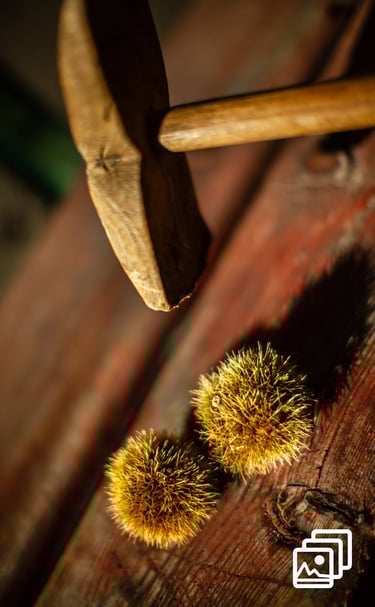 a wood hammer and chestnuts