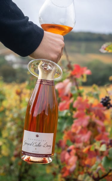 cuvée rosée callot demy