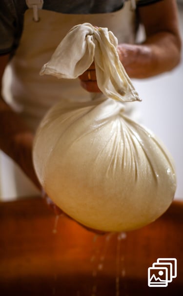 a person holding a bag of milk in a cheese factory