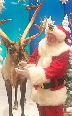 High Sierra Santa with a reindeer