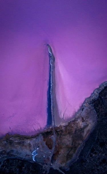 Salar en Península Valdés