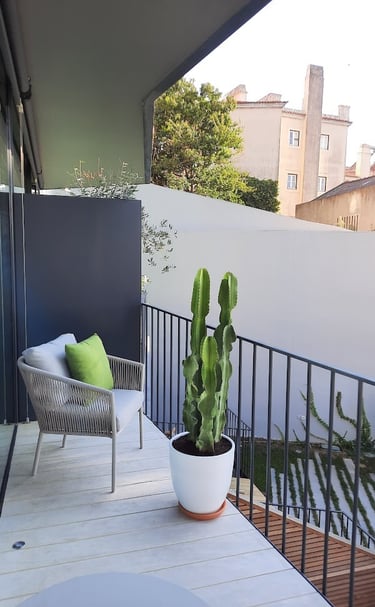 Modern balcony with a gray wicker chair, green pillow, and tall cactus plant in a white pot.
