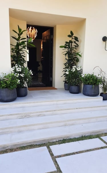 Modern home entrance featuring white stone steps and elegant potted plants with white flowers.