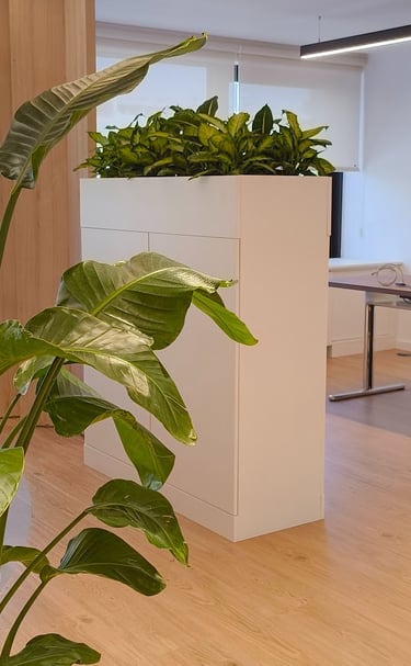 A modern white office cabinet with built-in planter and lush green indoor plants for biophilic design.