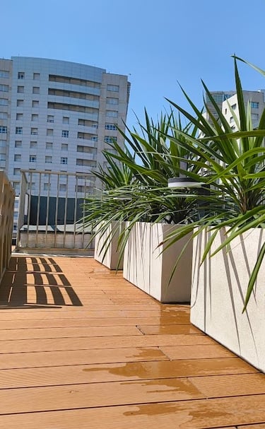 Modern rooftop terrace with wooden decking, white planters, and green yucca plants against city buildings.