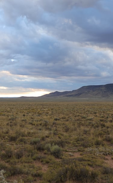 a large field with a mountain in the background