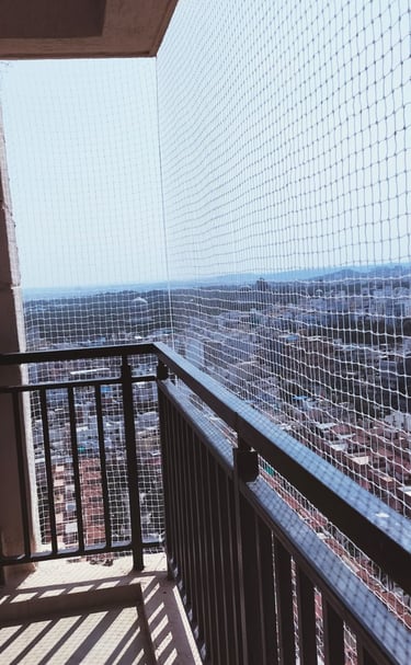 Wide shot showing a building facade fully covered with anti-pigeon nets by Arjilli Enterprises.