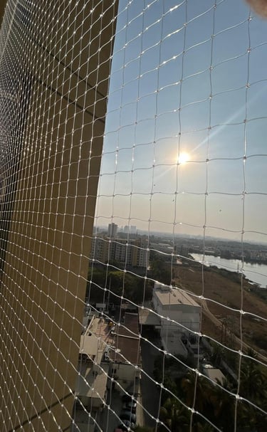 Daytime view of a courtyard fully protected by neatly installed anti-pigeon nets.