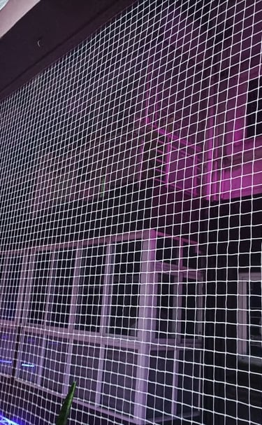 Side angle showing the neat installation of pigeon nets on a high-rise balcony on Altamount Road.