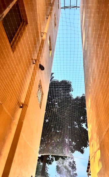 Completed pigeon net installation showing clean and safe apartment ducts.