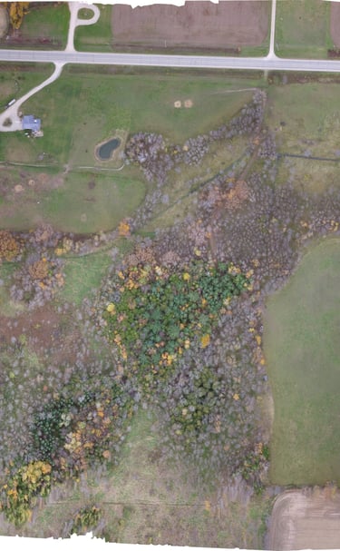 Orthographic Map of a Property