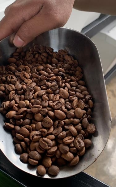 Kopi Solok Radjo, dari Lereng Gunung Talang ke Cangkir Dunia  Sumber: https://www.kompas.com/food/re