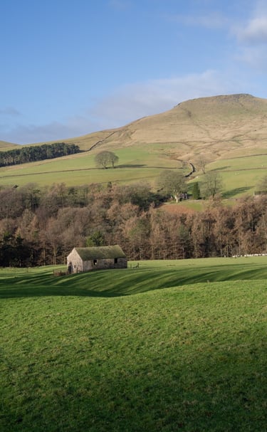 A special place to reflect and breathe