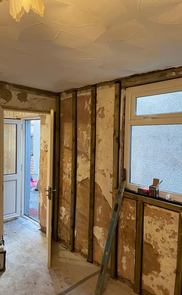 Project management of a full renovation of a nineteenth-century terraced house.