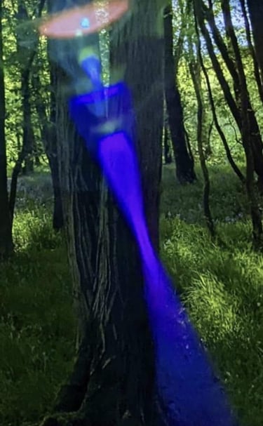 Awakened Stories Orbs and Entities