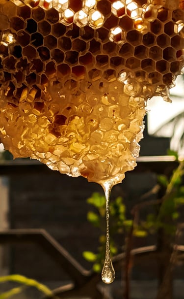 natural honey