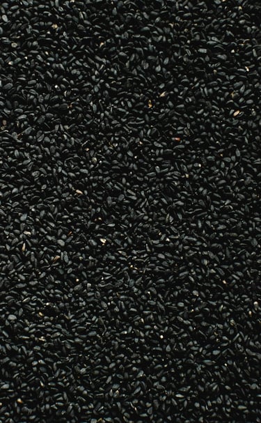 nigella sativa