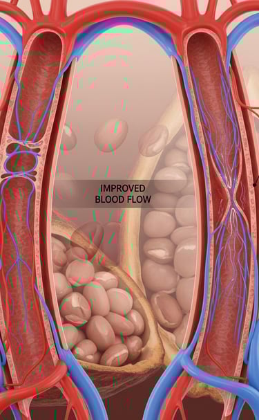 Blood flow when cacao is used