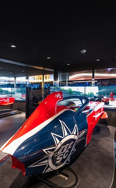 Formula One race experience