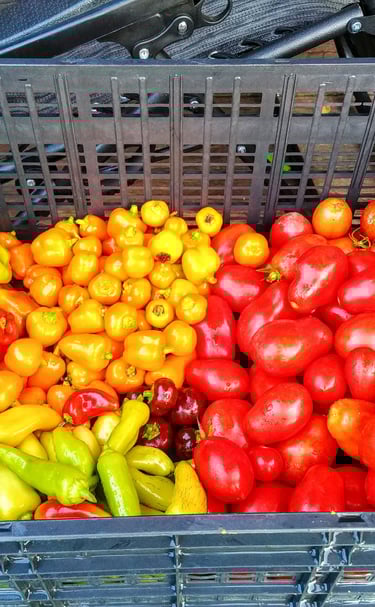 Fresh Produce