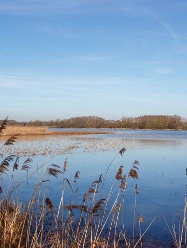 La Dombes et ses grandes étendues