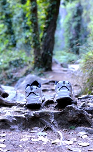 a pair of shoes that are on a trail in Platres