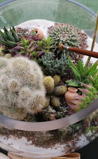 a person holding a small glass bowl filled with plants
