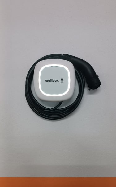 Cargador Wall box pulsar max pared