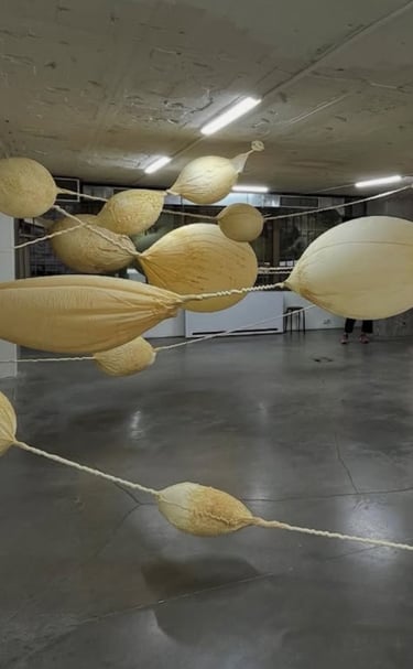 instagram seçkisi #istanbulbienali2025