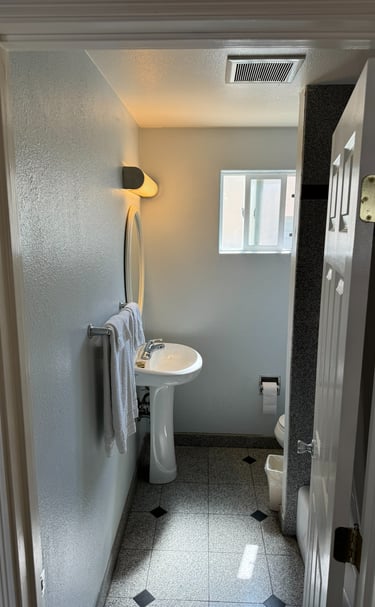 a bathroom with a sink, toilet, and a shower 